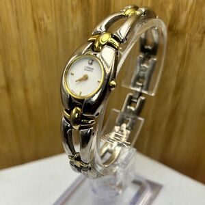 Citizen Quartz Watch Silver Case Band Dial